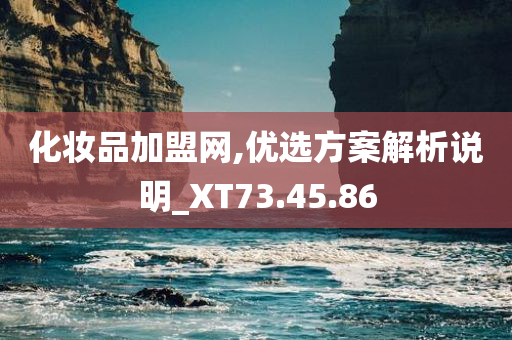 化妆品加盟网,优选方案解析说明_XT73.45.86