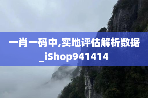 一肖一码中,实地评估解析数据_iShop941414