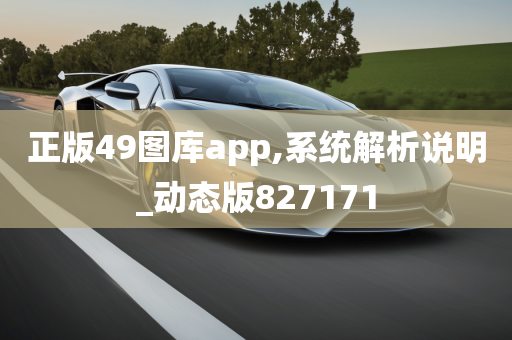 正版49图库app,系统解析说明_动态版827171