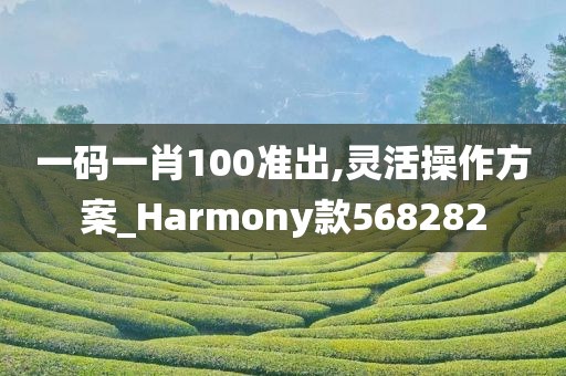 一码一肖100准出,灵活操作方案_Harmony款568282