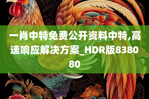 一肖中特免费公开资料中特,高速响应解决方案_HDR版838080