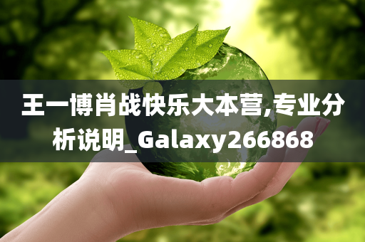 王一博肖战快乐大本营,专业分析说明_Galaxy266868