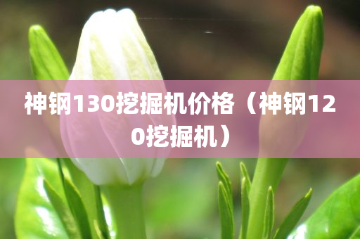 神钢130挖掘机价格（神钢120挖掘机）