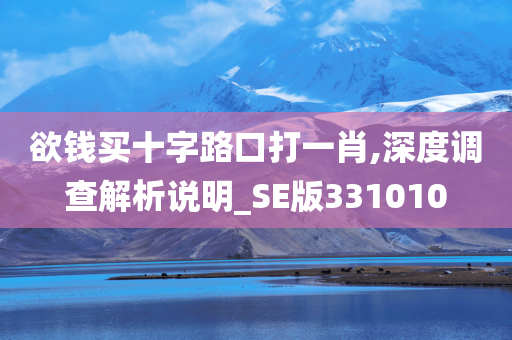 欲钱买十字路口打一肖,深度调查解析说明_SE版331010