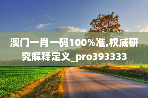 澳门一肖一码100%准,权威研究解释定义_pro393333