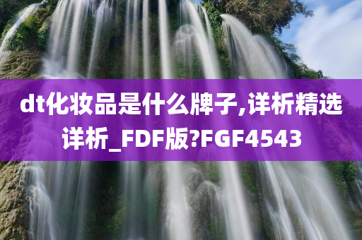 dt化妆品是什么牌子,详析精选详析_FDF版?FGF4543