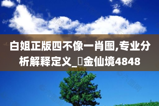 白姐正版四不像一肖图,专业分析解释定义_‌金仙境4848