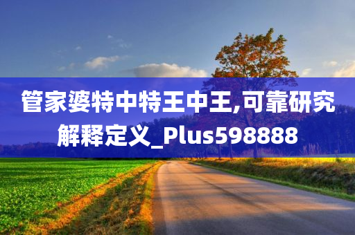 管家婆特中特王中王,可靠研究解释定义_Plus598888