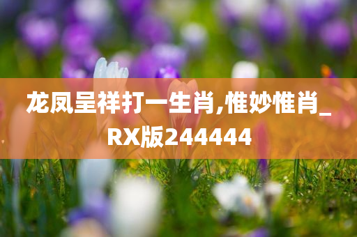 龙凤呈祥打一生肖,惟妙惟肖_RX版244444