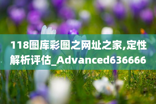 118图库彩图之网址之家,定性解析评估_Advanced636666