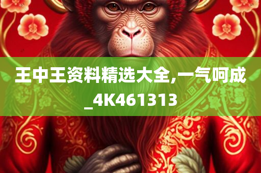 王中王资料精选大全,一气呵成_4K461313