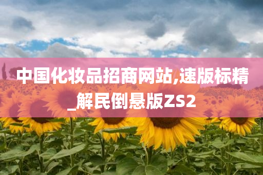 中国化妆品招商网站,速版标精_解民倒悬版ZS2