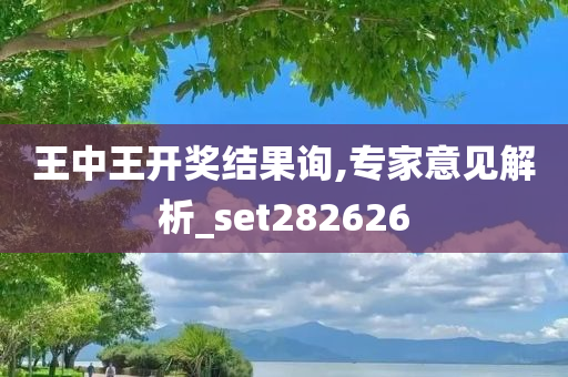 王中王开奖结果询,专家意见解析_set282626