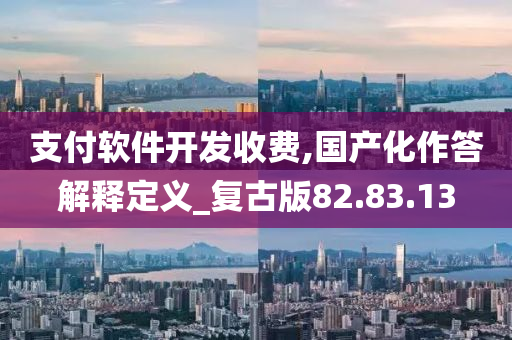 支付软件开发收费,国产化作答解释定义_复古版82.83.13