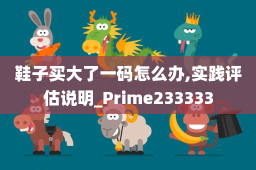 鞋子买大了一码怎么办,实践评估说明_Prime233333