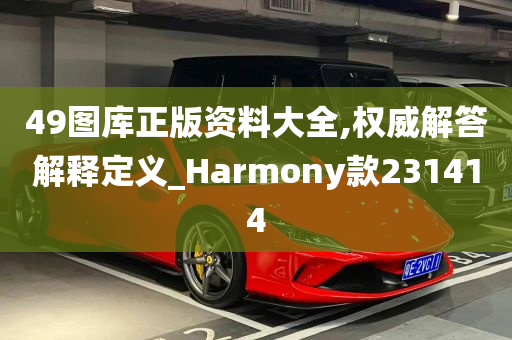 49图库正版资料大全,权威解答解释定义_Harmony款231414