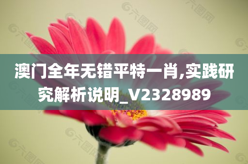 澳门全年无错平特一肖,实践研究解析说明_V2328989