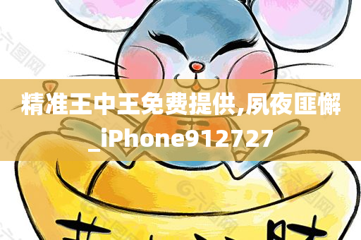 精准王中王免费提供,夙夜匪懈_iPhone912727