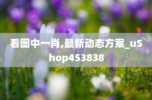 看图中一肖,最新动态方案_uShop453838