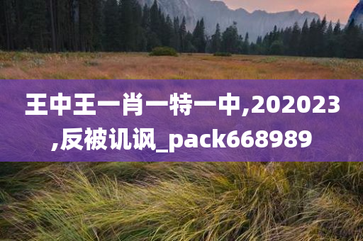 王中王一肖一特一中,202023,反被讥讽_pack668989