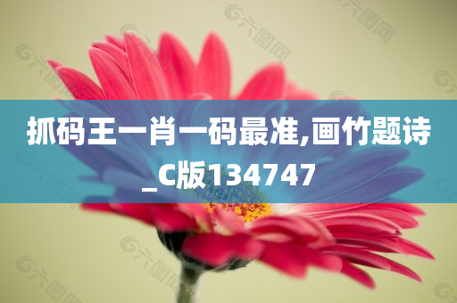 抓码王一肖一码最准,画竹题诗_C版134747