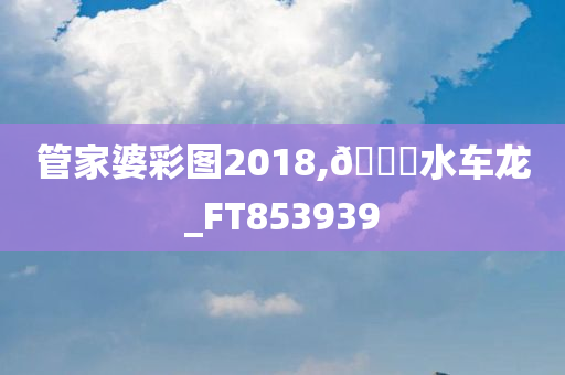 管家婆彩图2018,🐎水车龙_FT853939