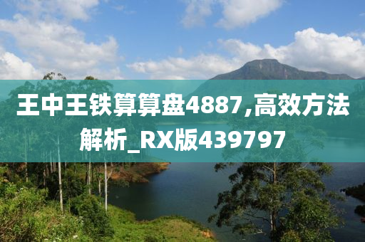 王中王铁算算盘4887,高效方法解析_RX版439797