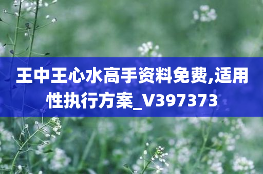 王中王心水高手资料免费,适用性执行方案_V397373