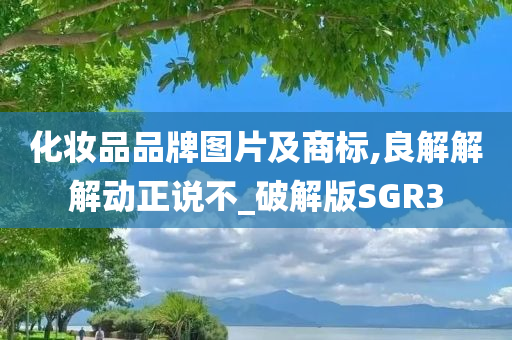 化妆品品牌图片及商标,良解解解动正说不_破解版SGR3