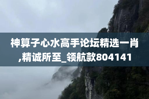 神算子心水高手论坛精选一肖,精诚所至_领航款804141