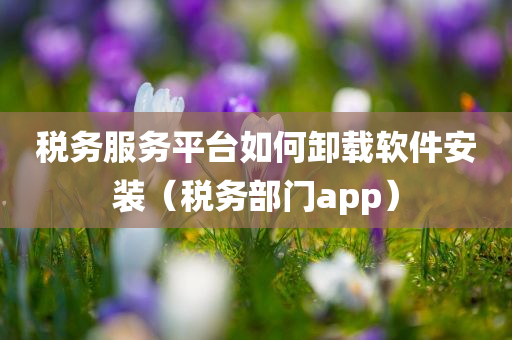 税务服务平台如何卸载软件安装（税务部门app）