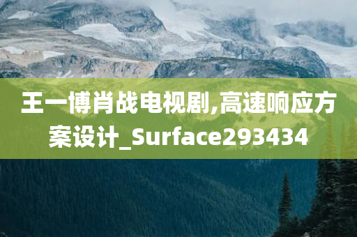 王一博肖战电视剧,高速响应方案设计_Surface293434