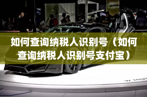 如何查询纳税人识别号（如何查询纳税人识别号支付宝）