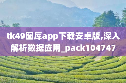 tk49图库app下载安卓版,深入解析数据应用_pack104747