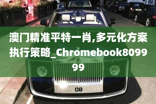 澳门精准平特一肖,多元化方案执行策略_Chromebook809999