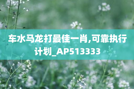 车水马龙打最佳一肖,可靠执行计划_AP513333