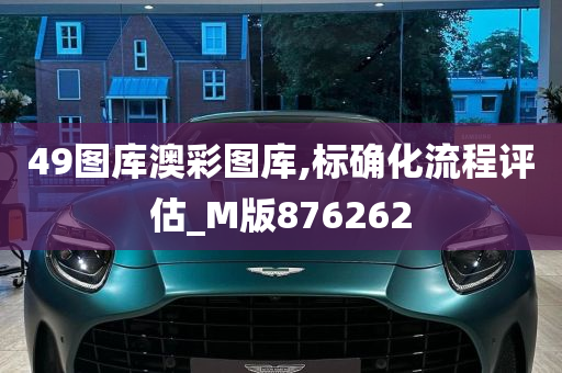 49图库澳彩图库,标确化流程评估_M版876262