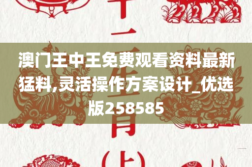 澳门王中王免费观看资料最新猛料,灵活操作方案设计_优选版258585