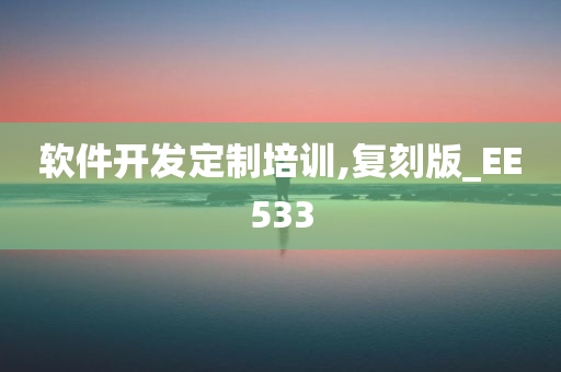 软件开发定制培训,复刻版_EE533