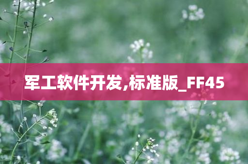 军工软件开发,标准版_FF45