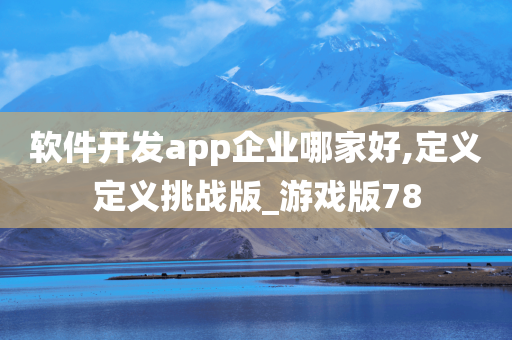 软件开发app企业哪家好,定义定义挑战版_游戏版78