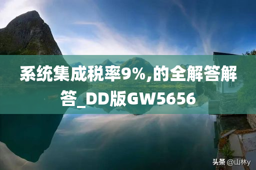 系统集成税率9%,的全解答解答_DD版GW5656