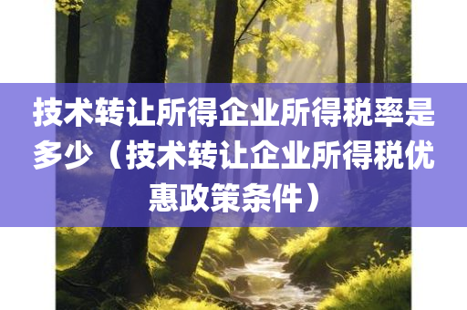 技术转让所得企业所得税率是多少（技术转让企业所得税优惠政策条件）