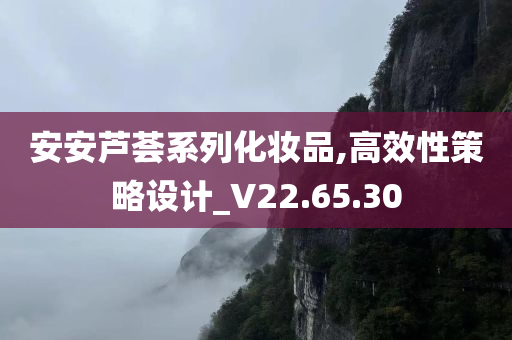 安安芦荟系列化妆品,高效性策略设计_V22.65.30