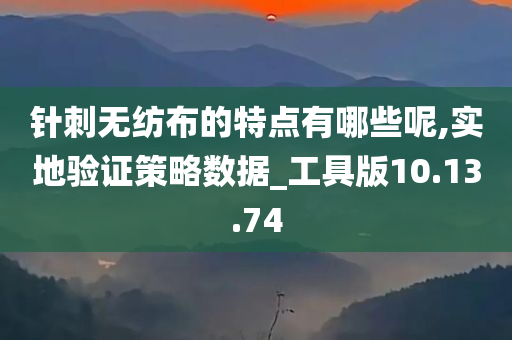 针刺无纺布的特点有哪些呢,实地验证策略数据_工具版10.13.74