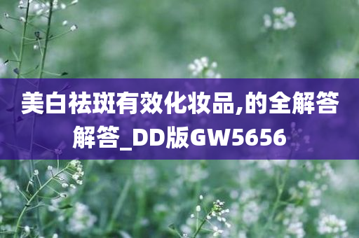 美白祛斑有效化妆品,的全解答解答_DD版GW5656