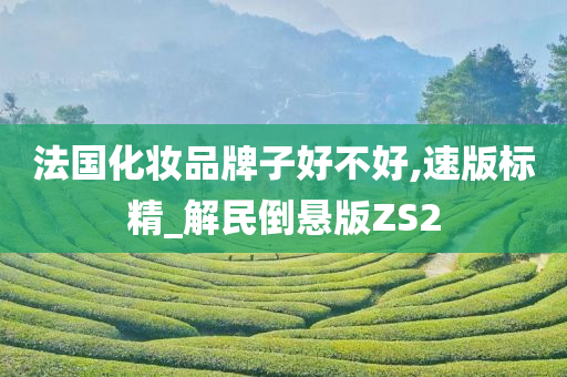 法国化妆品牌子好不好,速版标精_解民倒悬版ZS2