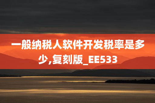 一般纳税人软件开发税率是多少,复刻版_EE533