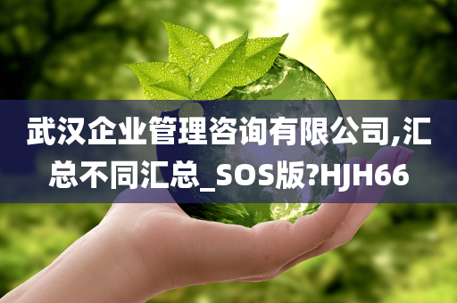 武汉企业管理咨询有限公司,汇总不同汇总_SOS版?HJH66