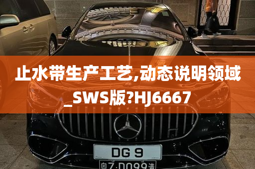 止水带生产工艺,动态说明领域_SWS版?HJ6667